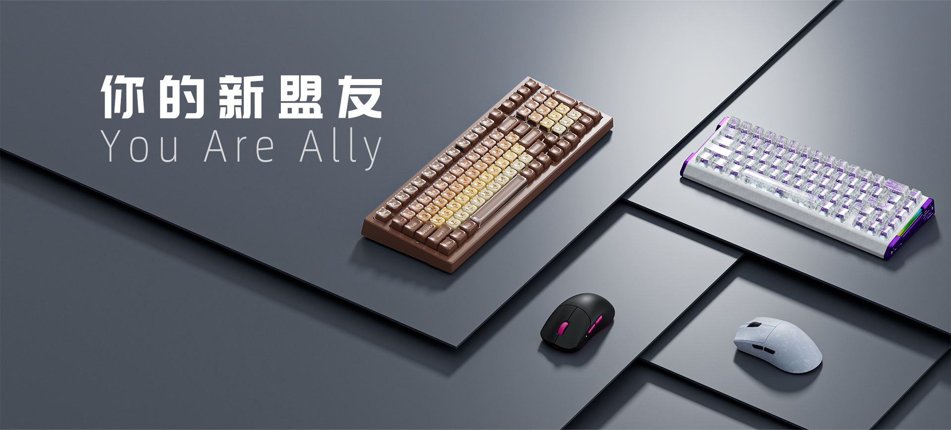 关于新盟